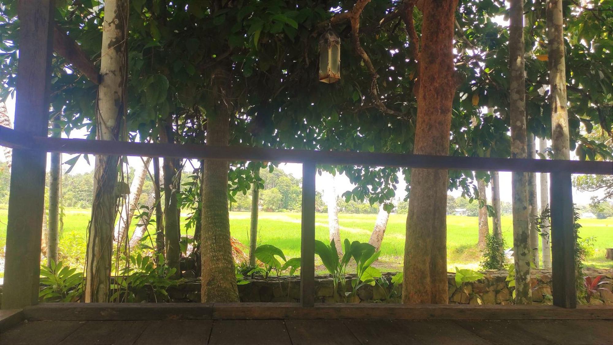 S'Ekar Pinang Langkawi Bed and Breakfast Pantai Cenang  Εξωτερικό φωτογραφία