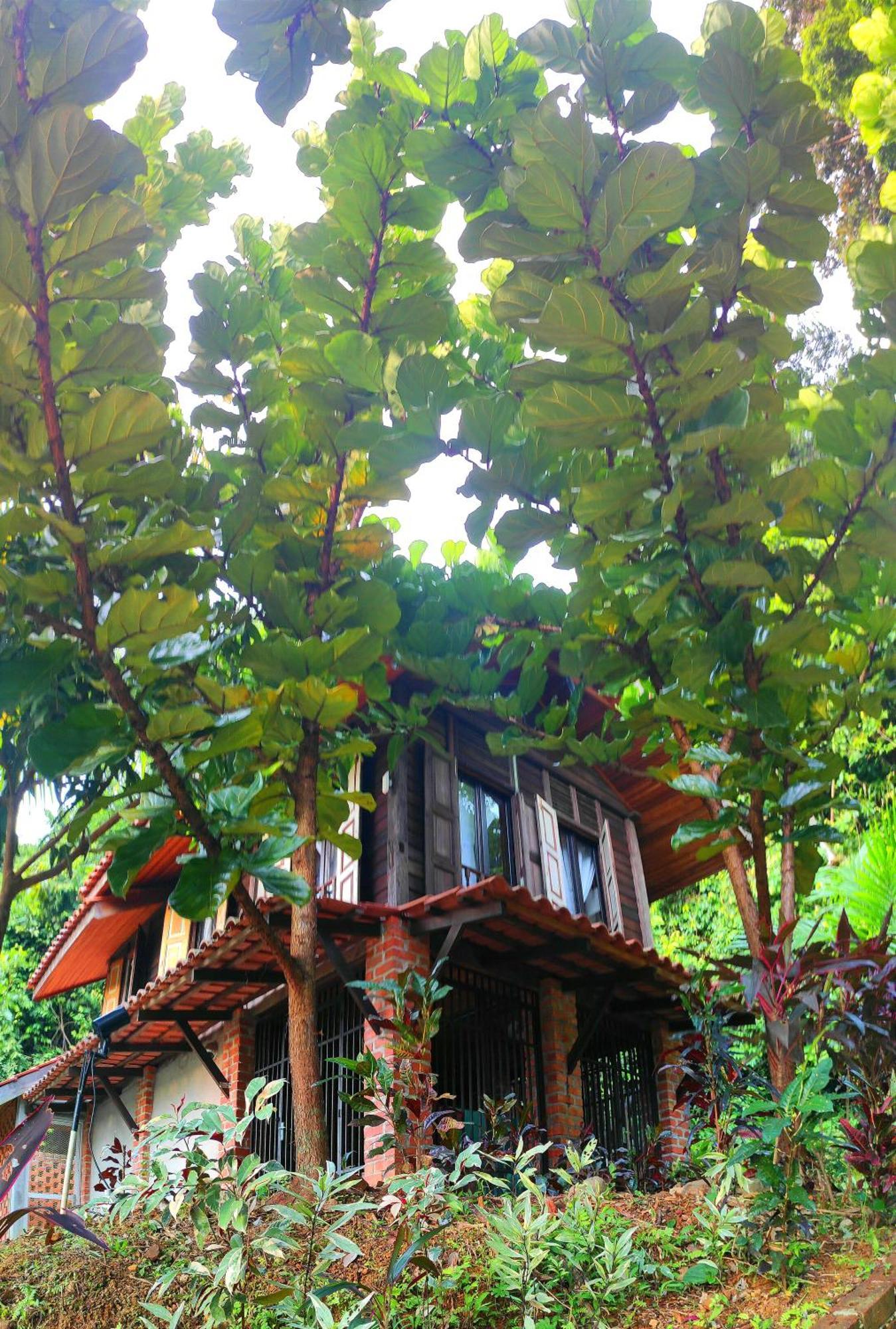 S'Ekar Pinang Langkawi Bed and Breakfast Pantai Cenang  Εξωτερικό φωτογραφία
