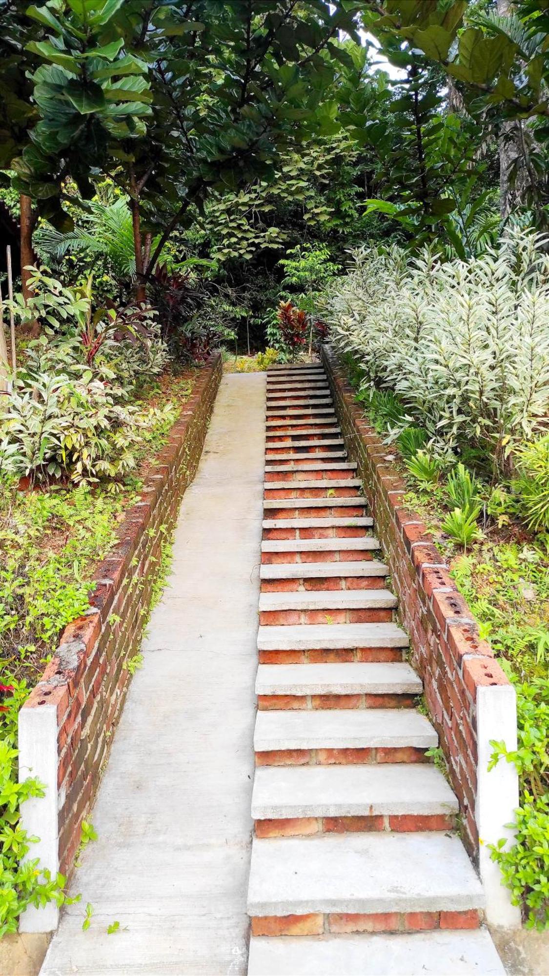 S'Ekar Pinang Langkawi Bed and Breakfast Pantai Cenang  Εξωτερικό φωτογραφία