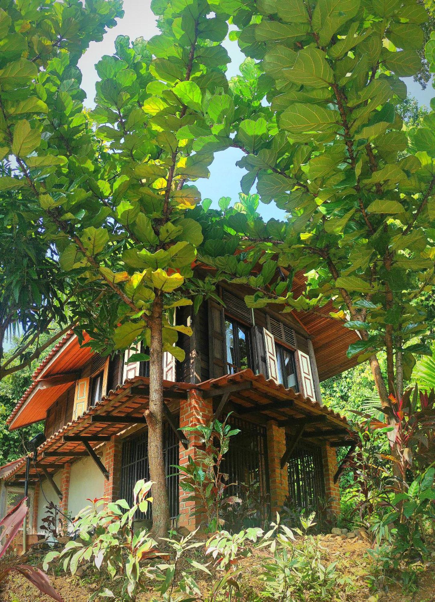 S'Ekar Pinang Langkawi Bed and Breakfast Pantai Cenang  Εξωτερικό φωτογραφία